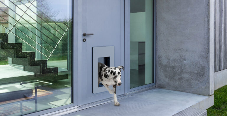 petWALK large outside door white dog 768x394