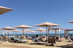 623E119A-98AB-4350-8DA4-32C2E72F556D