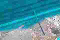 Firma_Botament_klein6