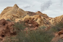 IMG_8520